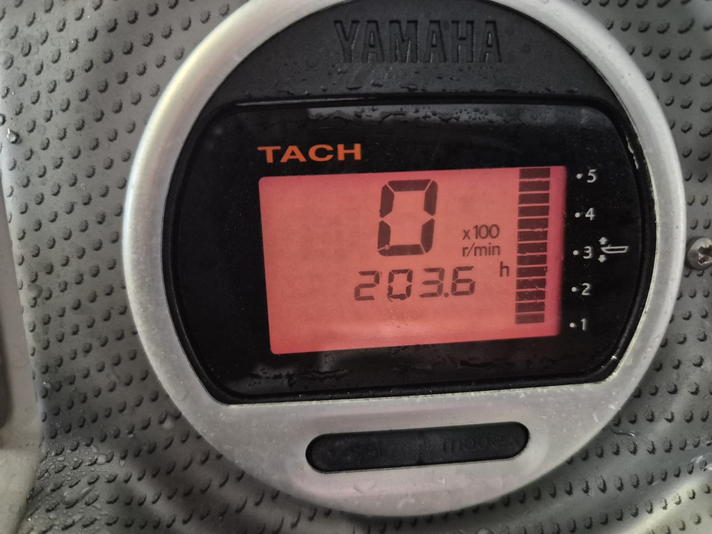 Yamarin 56 SC + Yamaha F100